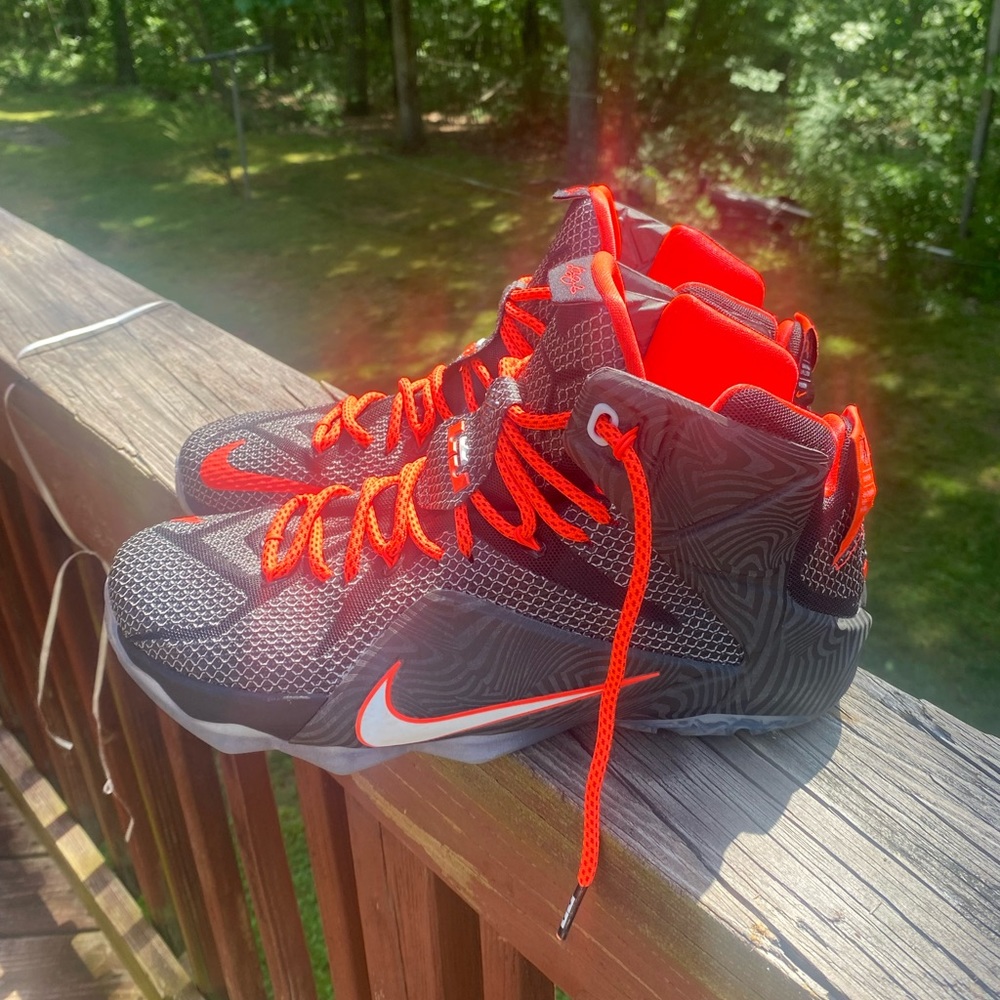 Lebron 12 "court vision"